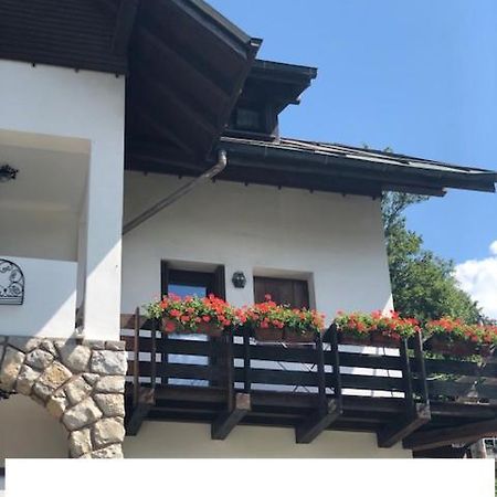 La Casa Di Monte Ricco Apartman Pieve di Cadore Kültér fotó