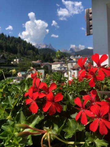 La Casa Di Monte Ricco Apartman Pieve di Cadore Kültér fotó