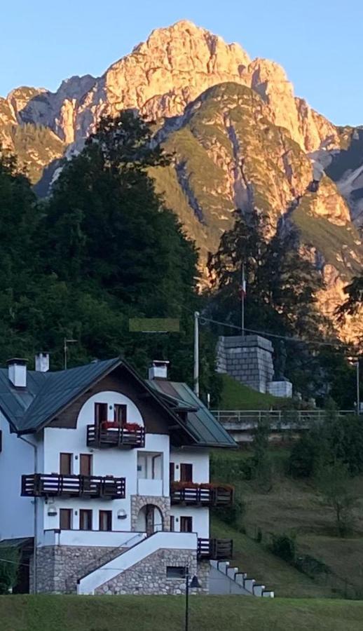 La Casa Di Monte Ricco Apartman Pieve di Cadore Kültér fotó