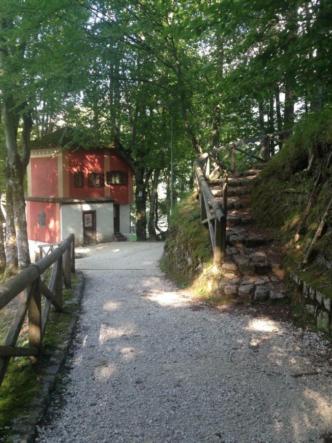 La Casa Di Monte Ricco Apartman Pieve di Cadore Kültér fotó